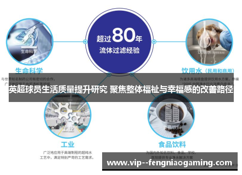 英超球员生活质量提升研究 聚焦整体福祉与幸福感的改善路径 英超球员生活质量提升研究 聚焦整体福祉与幸福感的改善路径