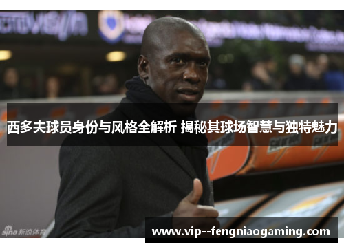 西多夫球员身份与风格全解析 揭秘其球场智慧与独特魅力 西多夫球员身份与风格全解析 揭秘其球场智慧与独特魅力