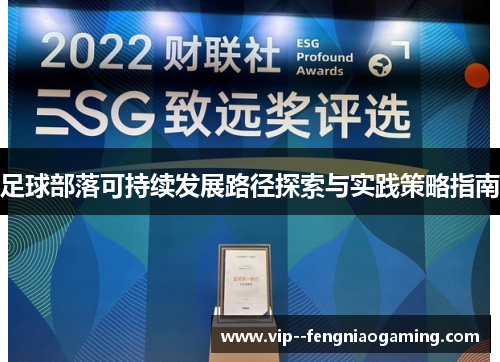足球部落可持续发展路径探索与实践策略指南