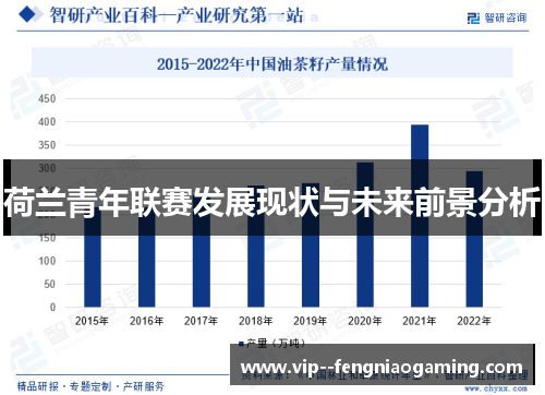 荷兰青年联赛发展现状与未来前景分析