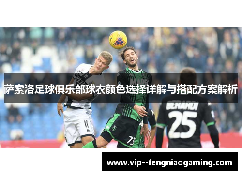 萨索洛足球俱乐部球衣颜色选择详解与搭配方案解析 萨索洛足球俱乐部球衣颜色选择详解与搭配方案解析