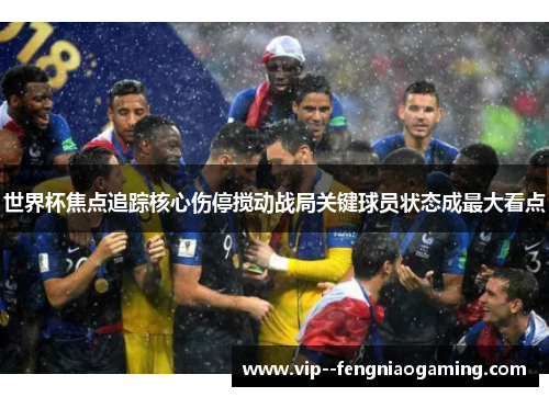 世界杯焦点追踪核心伤停搅动战局关键球员状态成最大看点 世界杯焦点追踪核心伤停搅动战局关键球员状态成最大看点