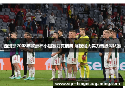 西班牙2008年欧洲杯小组赛力克瑞典 展现强大实力晋级淘汰赛 西班牙2008年欧洲杯小组赛力克瑞典 展现强大实力晋级淘汰赛