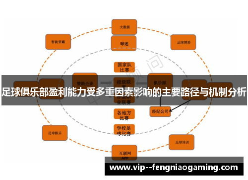 足球俱乐部盈利能力受多重因素影响的主要路径与机制分析