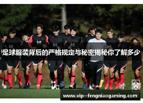 足球服装背后的严格规定与秘密揭秘你了解多少 足球服装背后的严格规定与秘密揭秘你了解多少