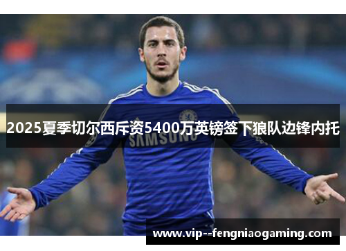2025夏季切尔西斥资5400万英镑签下狼队边锋内托 2025夏季切尔西斥资5400万英镑签下狼队边锋内托