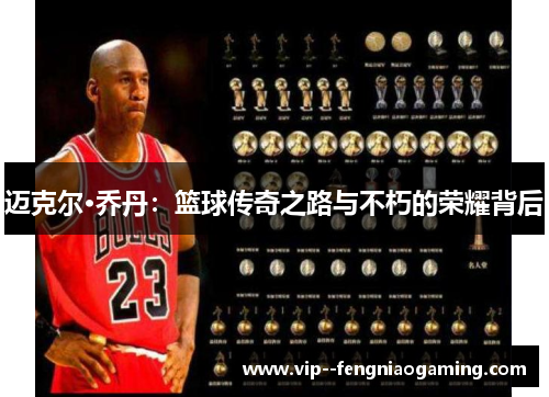 迈克尔·乔丹：篮球传奇之路与不朽的荣耀背后