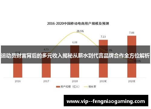 运动员财富背后的多元收入揭秘从薪水到代言品牌合作全方位解析