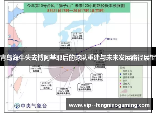 青岛海牛失去博阿基耶后的球队重建与未来发展路径展望 青岛海牛失去博阿基耶后的球队重建与未来发展路径展望