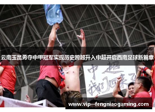 云南玉昆勇夺中甲冠军实现历史跨越升入中超开启西南足球新篇章 云南玉昆勇夺中甲冠军实现历史跨越升入中超开启西南足球新篇章