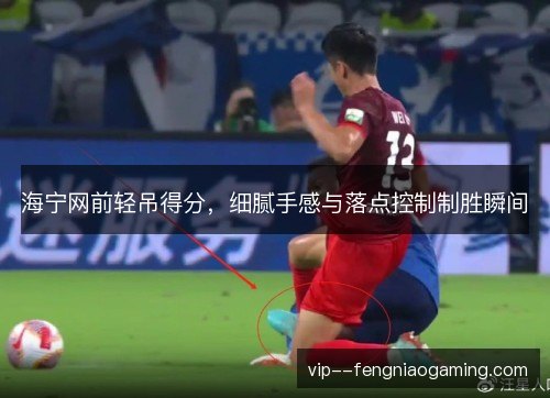 海宁网前轻吊得分，细腻手感与落点控制制胜瞬间